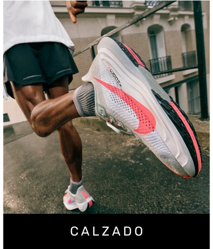 calzado